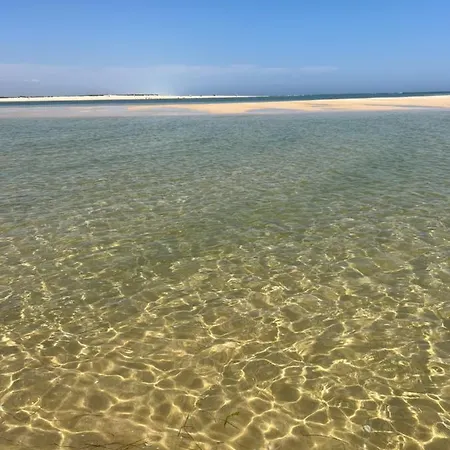 Na Primeira Linha Da Ria Formosa 아파트